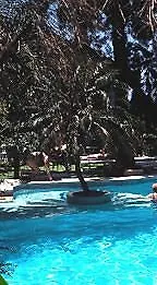 Vicencia Hotel Funchal (Madeira)