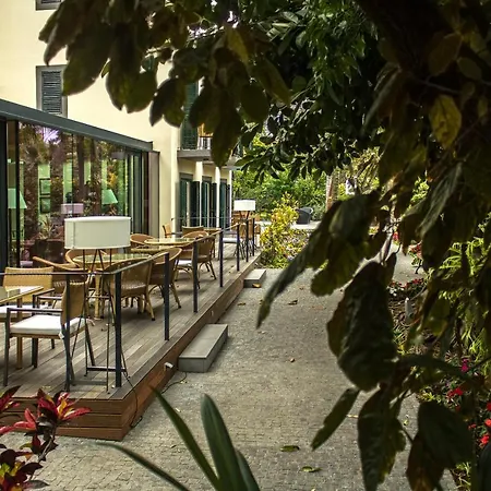 Vicencia Funchal (Madeira)