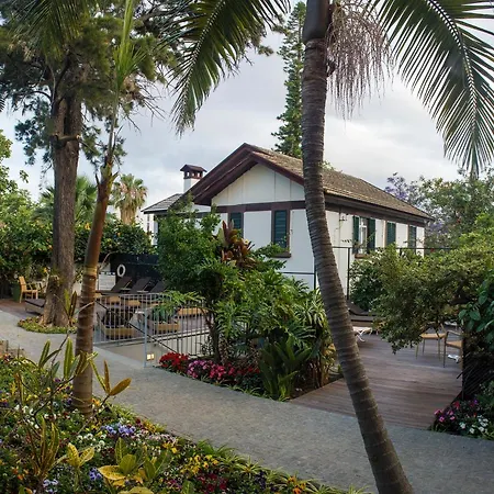 Vicencia فندق فونشال