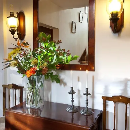 Vicencia Funchal (Madeira)