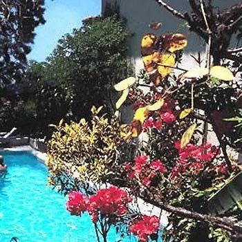 Hotel Vicencia 4*