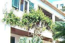 Hotel Vicencia Funchal (Madeira)