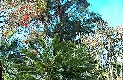 Hotel Vicencia Funchal (Madeira)